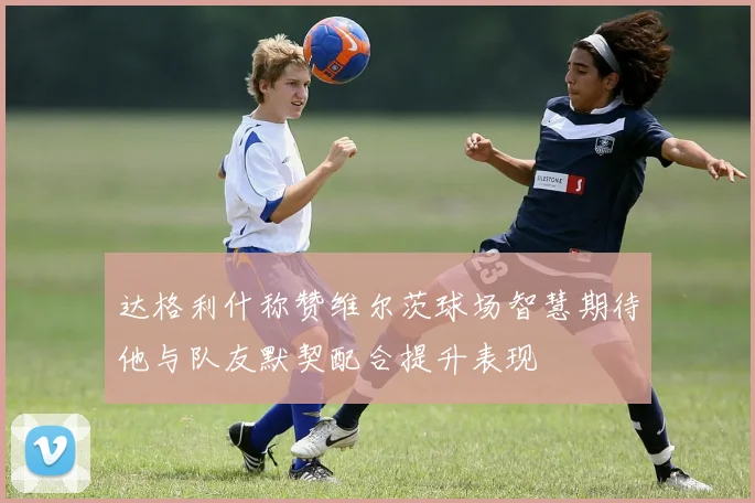 达格利什称赞维尔茨球场智慧期待他与队友默契配合提升表现