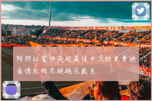 阿邦拉霍评英超最佳中卫特里费迪南德孔帕尼超越范戴克