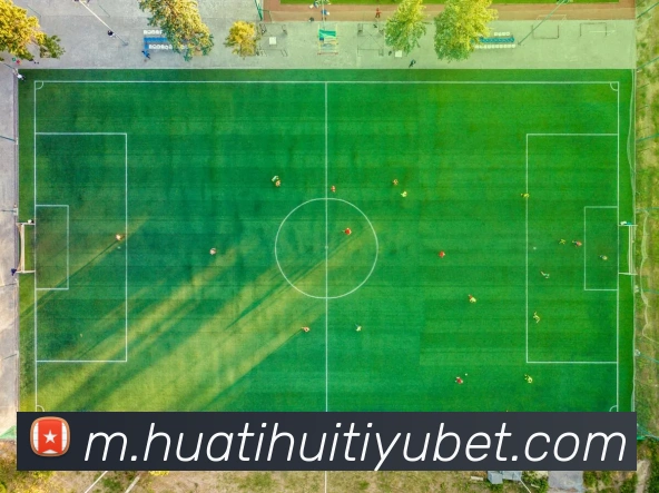 App Interface Preview